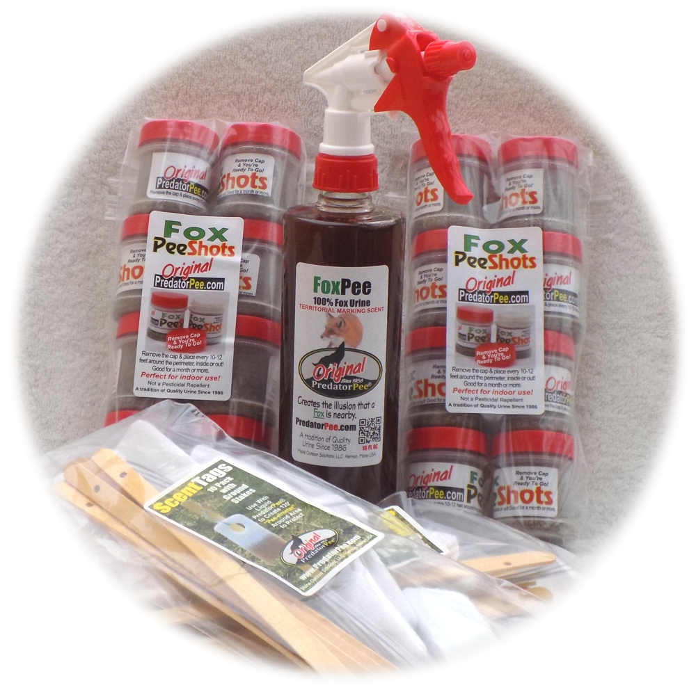 Fox Urine for Squirrels & Rabbits | Camper Rodent Repellent