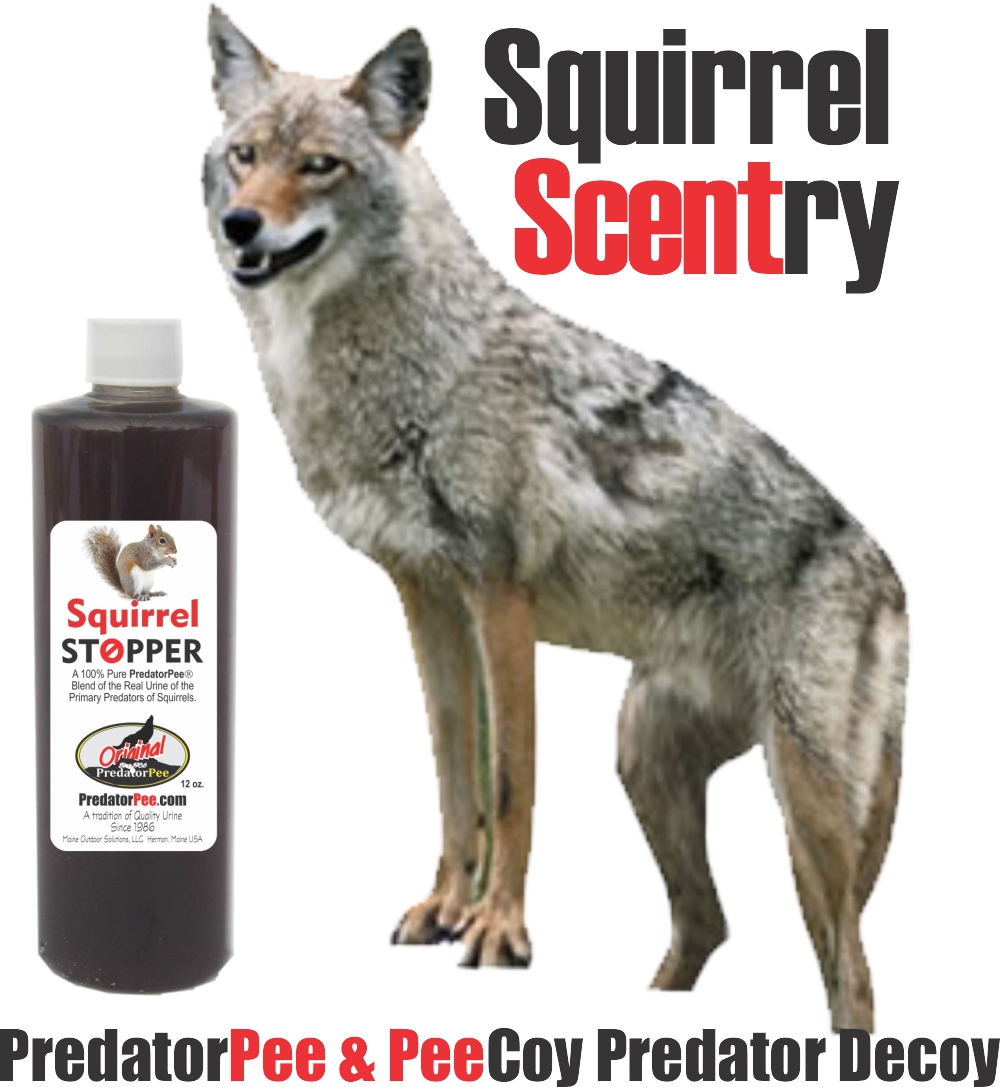 SquirrelScentry Squirrel Repellent & Coyote Decoy Kit