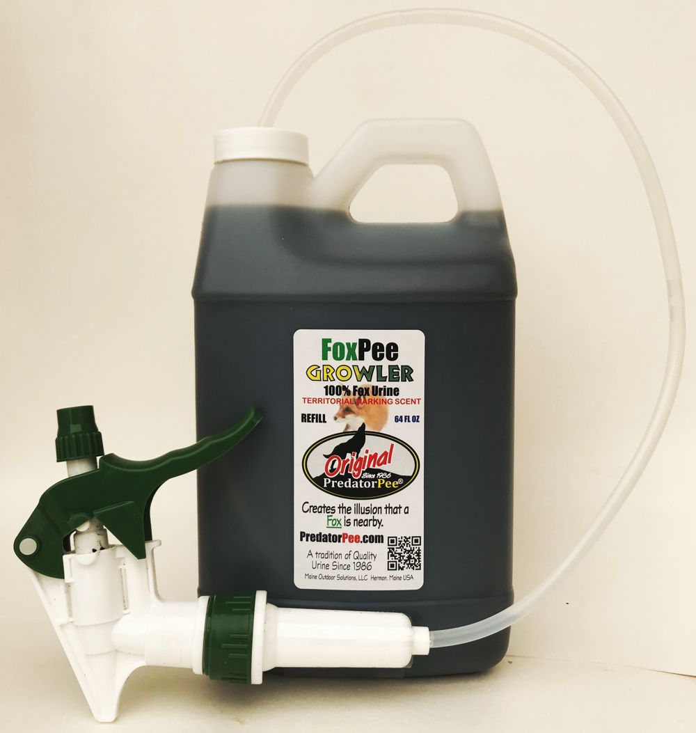 64 oz Fox Urine Growler | Natural Rabbit Repellent