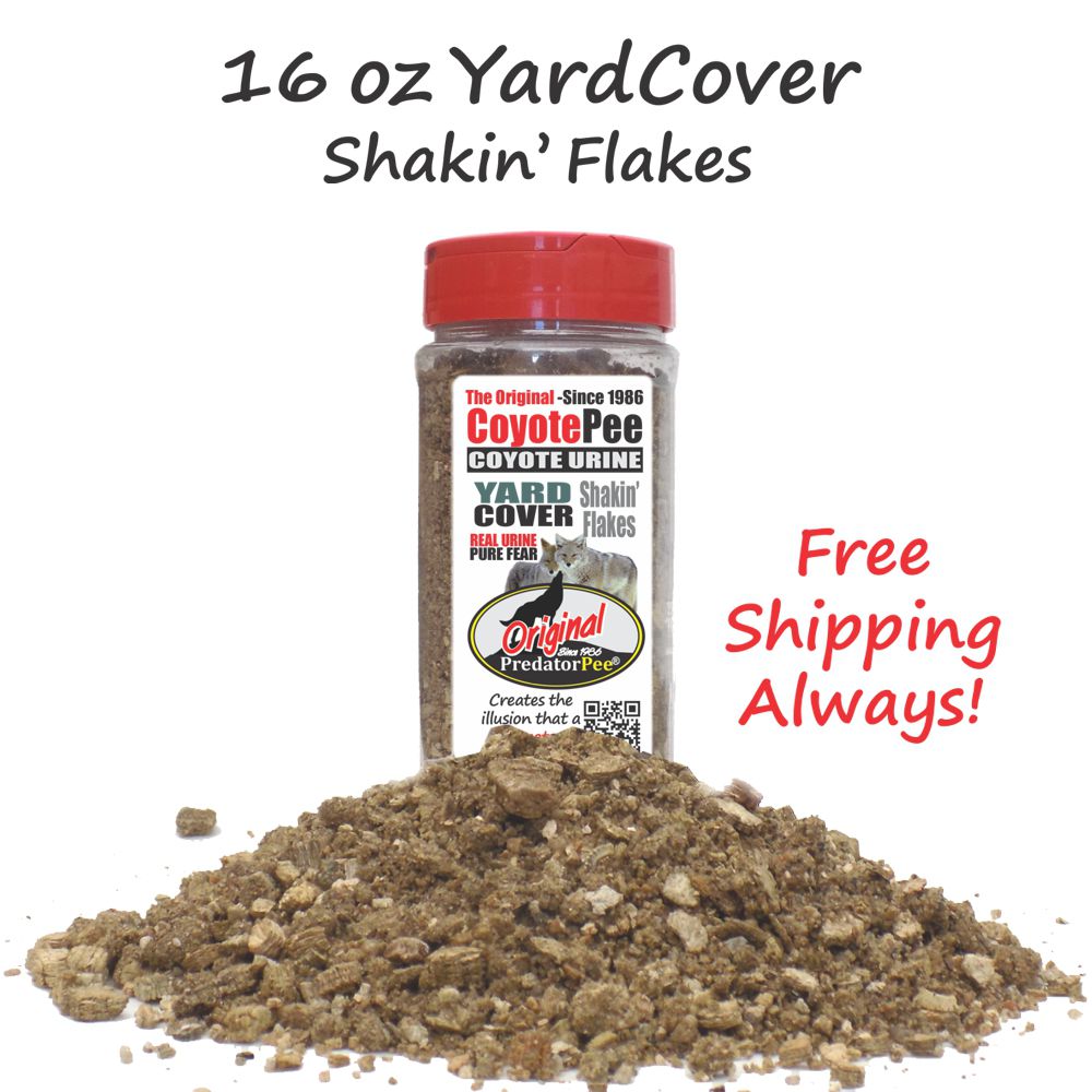 Coyote Urine YardCover Flakes - 4 Pk | Outdoor Rat Deterrent