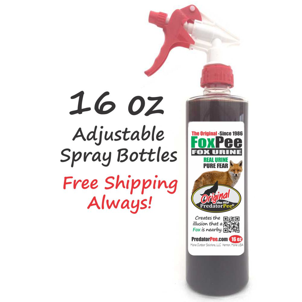 Fox Urine Squirrel and Chipmunk Liquid Repellent - 16 oz 4 Pk