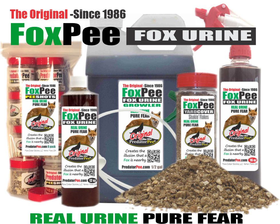 Postgrado  Red Fox Urine – Minnesota Brand 16 Ounce Bottle Lure