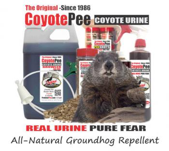 All-Natural Coyote Urine Groundhog Repellent | For Groundhog Prevention